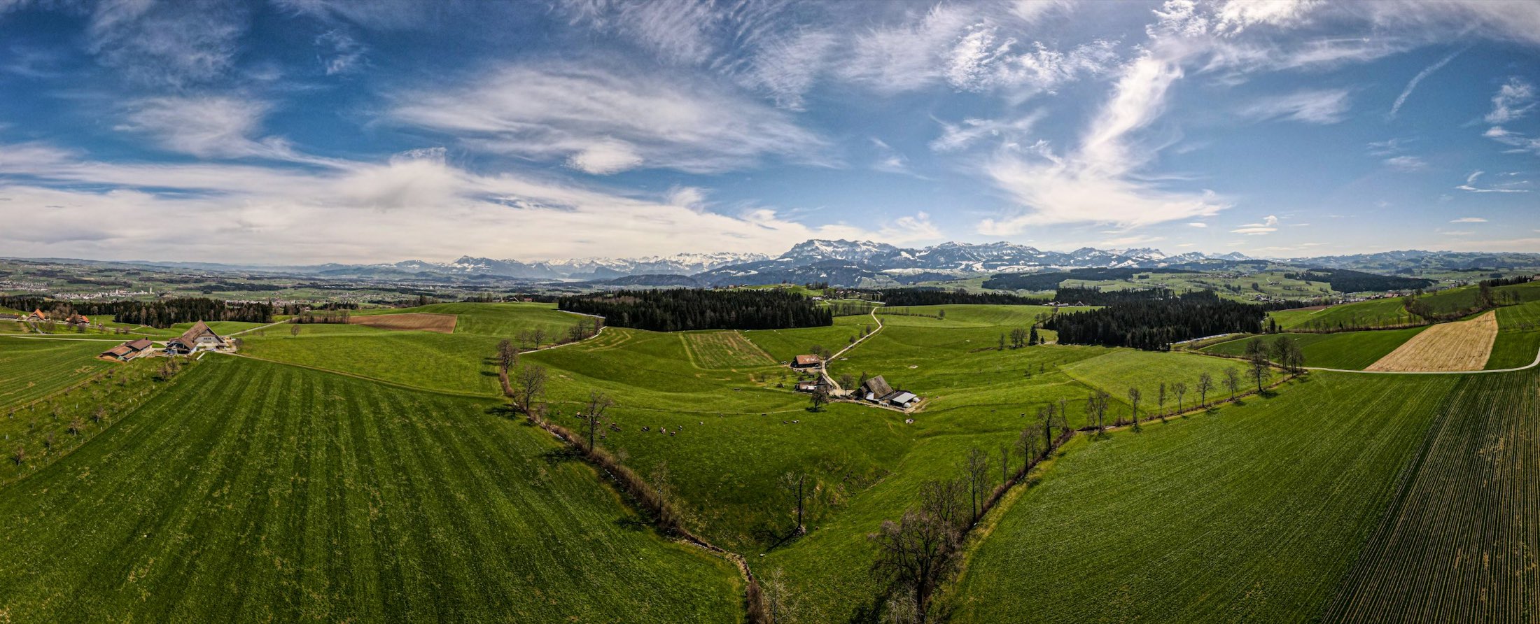 Hügellandschaft im Kanton Luzern mit Wiesen und Bergen am Horizont